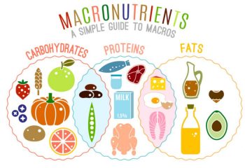 Helpful Tips for Mastering Your Macros